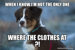 Unsure Dog