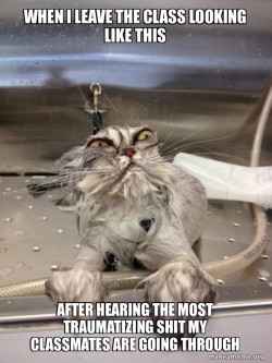 Cat Bath Returns