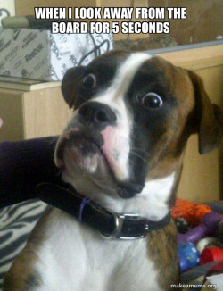 Skeptical Dog