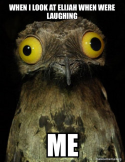 Weird Stuff I do Potoo