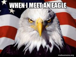 American Pride Eagle