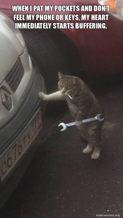 Mechanic Cat