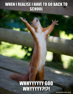 Happy Squirrel