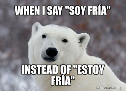 Popular Opinion Polar Bear