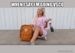 VSCO Girl