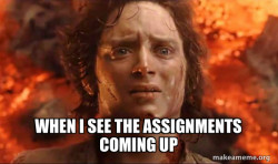 Frodo it's over it's done