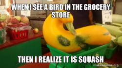 Gourd Advice Mallard