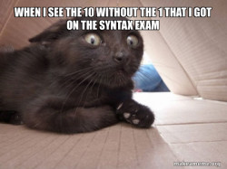 Schitzo Cat