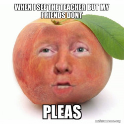 Impeached Donald Trump