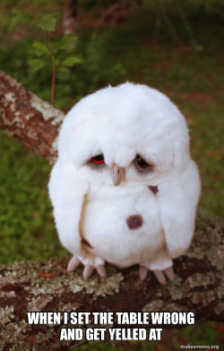 Sad Owl