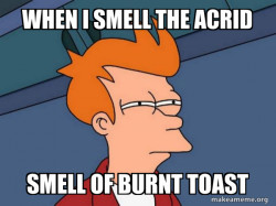 Futurama Fry