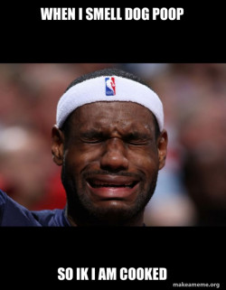 Lebron Crying