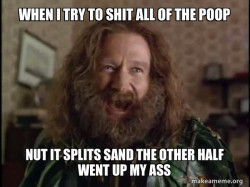 Robin Williams - What year is it? Jumanji
