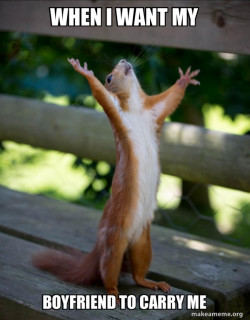 Happy Squirrel