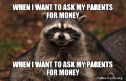 Evil Plotting Raccoon