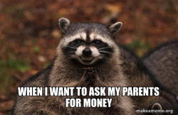 Evil Plotting Raccoon