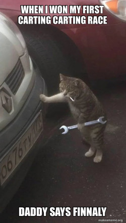 Mechanic Cat