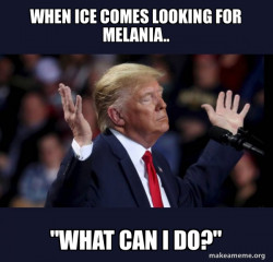 Trump Impeached