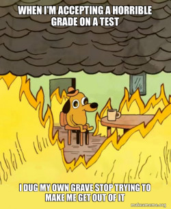 This Is Fine