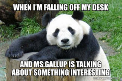 Confession Panda