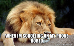 Confession Lion