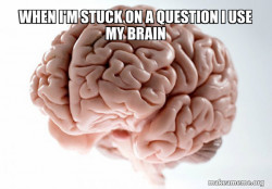Scumbag Brain