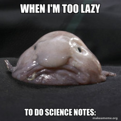 Blobfish