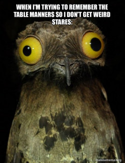 Weird Stuff I do Potoo