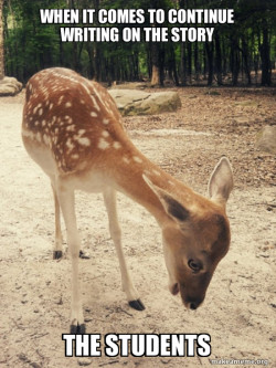 O M G Deer
