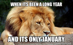 Confession Lion