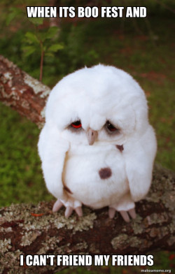 Sad Owl