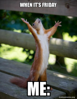 Happy Squirrel