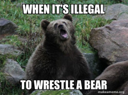 Sarcastic Bear