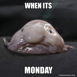 Blobfish