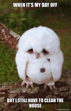 Sad Owl
