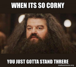 Hagrid - I should not have said that