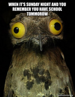 Weird Stuff I do Potoo