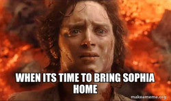 Frodo it's over it's done