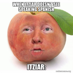 Impeached Donald Trump