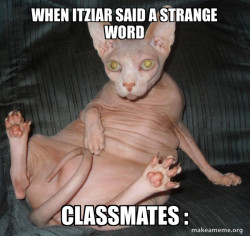 Hairless Cat
