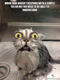 Cat bath