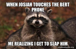 Evil Plotting Raccoon
