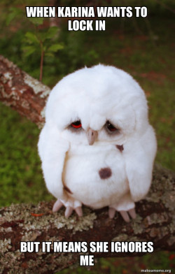 Sad Owl