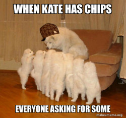 Scumbag Storytelling Dog
