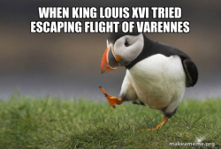 Unpopular Opinion Puffin