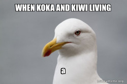 Stuff That Didn't Happen Seagull