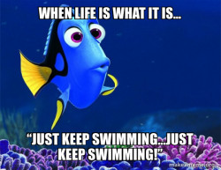 Just Keep Swimming