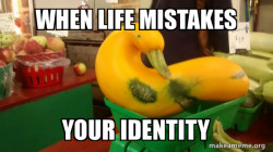 Gourd Advice Mallard