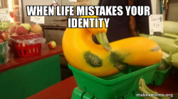 Gourd Advice Mallard