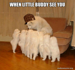 Scumbag Storytelling Dog